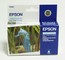 Картридж струйный Epson C13T048540 cyan light for Stylus Photo R300/RX500