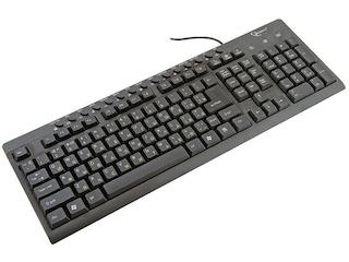 Клавиатура Gembird KB-8300UM-BL-R USB black