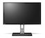 Монитор Benq 32" BL3201PT черный IPS LED 12ms 16:9 DVI HDMI M/M матовая HAS Pivot 300cd 3840x2160 D-Sub DisplayPort HDTV USB