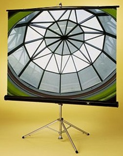 Экран Draper Diplomat NTSC (3:4) 305/120" (10') 175*234 MW мобил,на штативе