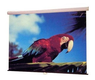 Экран Draper Luma NTSC (3:4) 305/120" (10') 175*234 MW ручной,настенно-потолочный