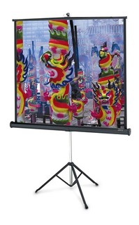 Экран Projecta на штативе Professional 178x178см Matte White (10430109)