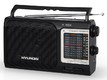 Радиоприемник Hyundai H-1604 черный