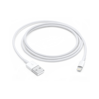 Кабель Apple MQUE2ZM/A Lightning (m) USB A(m) 1м белый