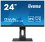 Монитор Iiyama 23.8" ProLite XUB2493HS-B4 черный IPS LED 4ms 16:9 DisplayPort HDMI D-Sub матовая 1000:1 250cd 178гр/178гр 1920x1080 75Гц  5.7кг