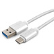 Кабель USB Cablexpert CC-P-USBC03S-1M, AM/Type-C, серия Platinum, длина 1м, серебро, нейлоновая оплетка, блистер