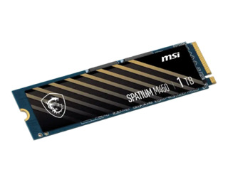 Накопитель SSD M.2 1TB MSI SPATIUM M450 S78-440L980-P83
