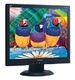 Монитор ViewSonic TFT 17" VA705B-2 5ms Black 250cd 1000:1