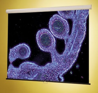 Экран Luma 2 HDTV (9:16) 302/119" 147*264 MW ручной,настенно-потолочный