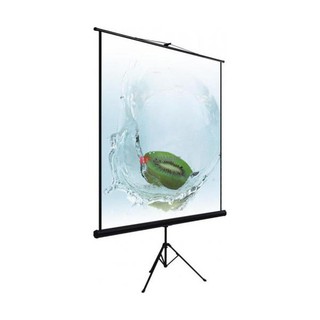 Экран на штативе Lumien Eco View 160x160 см возможностью настенного крепления (LEV-100105)