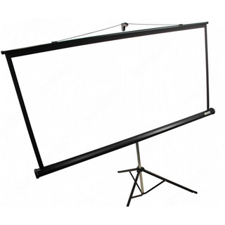 Экран на штативе Lumien Master View 180x180 см Matte White FiberGlass (LMV-100103)