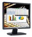 Монитор Dell 19" E1913S Black TN LED 5ms 5:4 1000:1 250cd 160гр 170гр 1280x1024 D-Sub