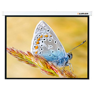 Экран Lumien Master Control 129x200 см Matte White, с электроприводом   (LMC-100128)