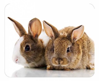 Коврик для мыши BA01-10