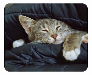 Коврик для мыши BA01-26