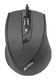 Мышь A4 N-600X-1 V-Track Padless USB Black