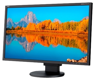 Монитор 24" Nec EA243WM Black-Black