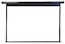 Экран настенный Elite Screen 186.2x298.9см M139NWX 16:10