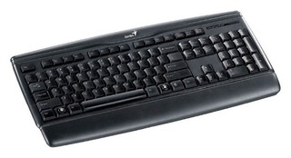 Клавиатура Genius KB-120 black USB brown box