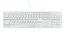 Клавиатура BTC 6390U-W USB, белая, ультратонкая, 4 доп.клавиши, с ножничным механизмом клавиш