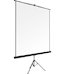 Экран на штативе 180х240см DSKA-4305 Digis Kontur-A 4:3