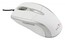 Мышь Oklick 610L White/Silver опт 800/1600 DPI USB