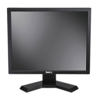 Монитор Dell TFT 17'' E170S European Flat Panel Monitor (TCO99)/Black