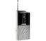 Радиоприемник Philips AE1530/00 Серый