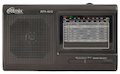 Радиоприемник Ritmix RPR-4010 Черный