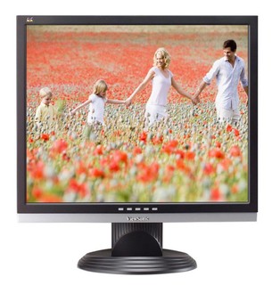 Монитор ViewSonic TFT 19" VA916G silver-black 5mc 100 000:1 250cd