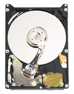 Жесткий диск WD IDE 320Gb WD3200BEVE (5400rpm) 8mb 2,5"