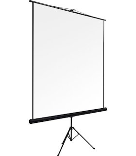 Экран DINON Tripod 150x200 MW на штативе