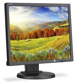 Монитор NEC EA193Mi BK/BK 19" IPS 1280x102 6мс 250кд/м2 1000:1 178/178 D-Sub DVI-D DP