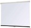 Настенный экран Lumien Master Picture 160x120 см Matte White FiberGlass (LMP-100130)