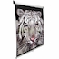 Экран настенный Elite Screens 206x274см M135UWV2 MW белый